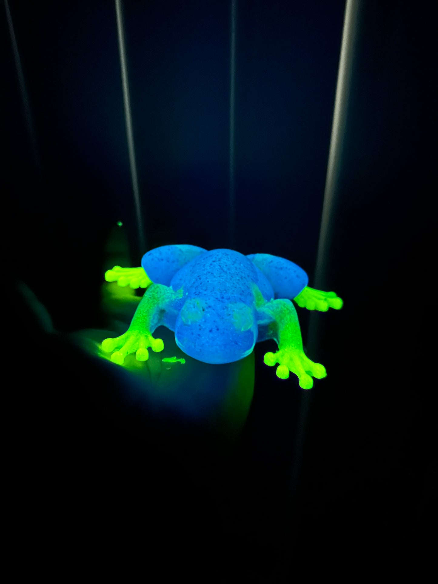 Frog 🐸