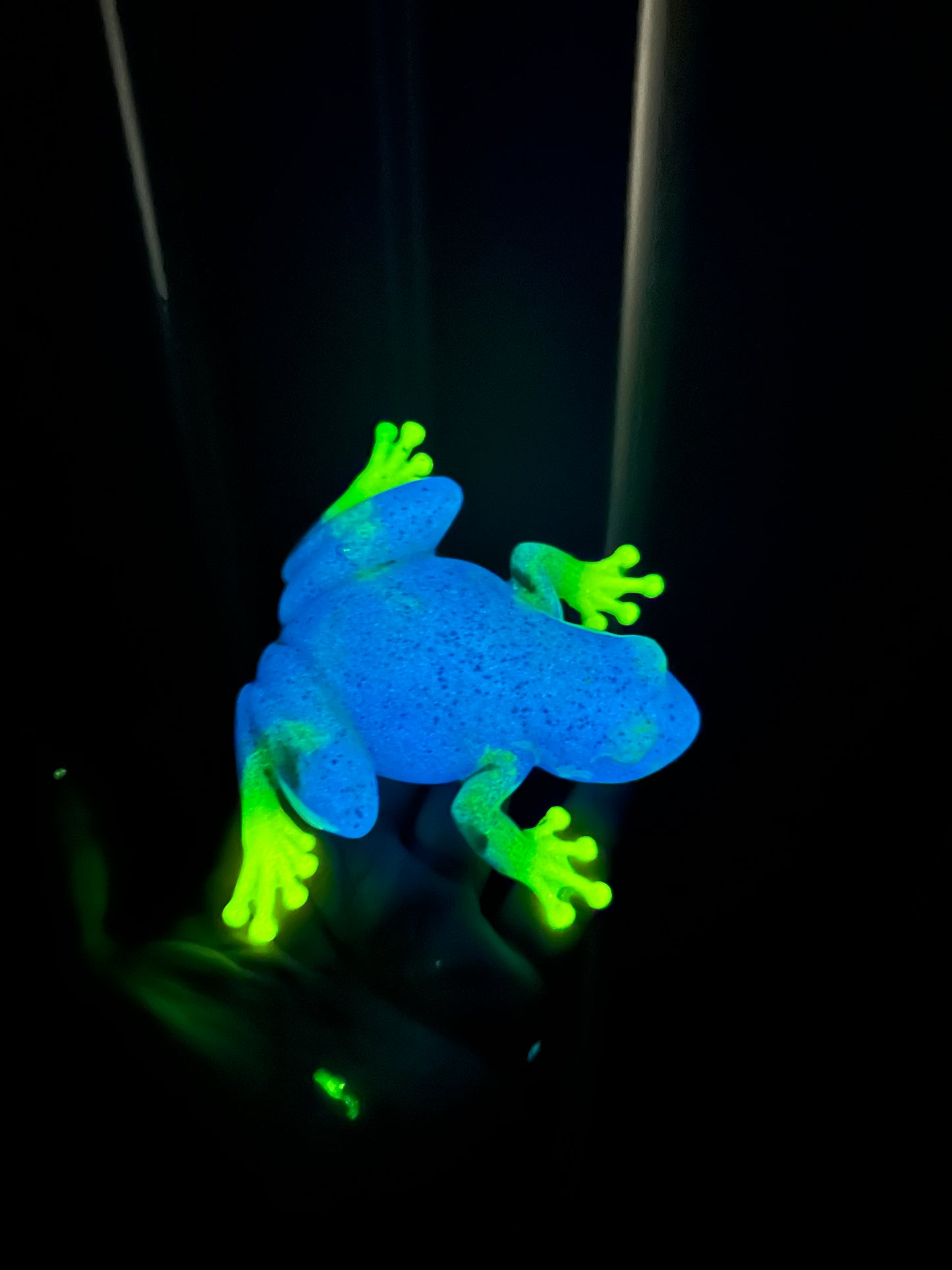 Frog 🐸