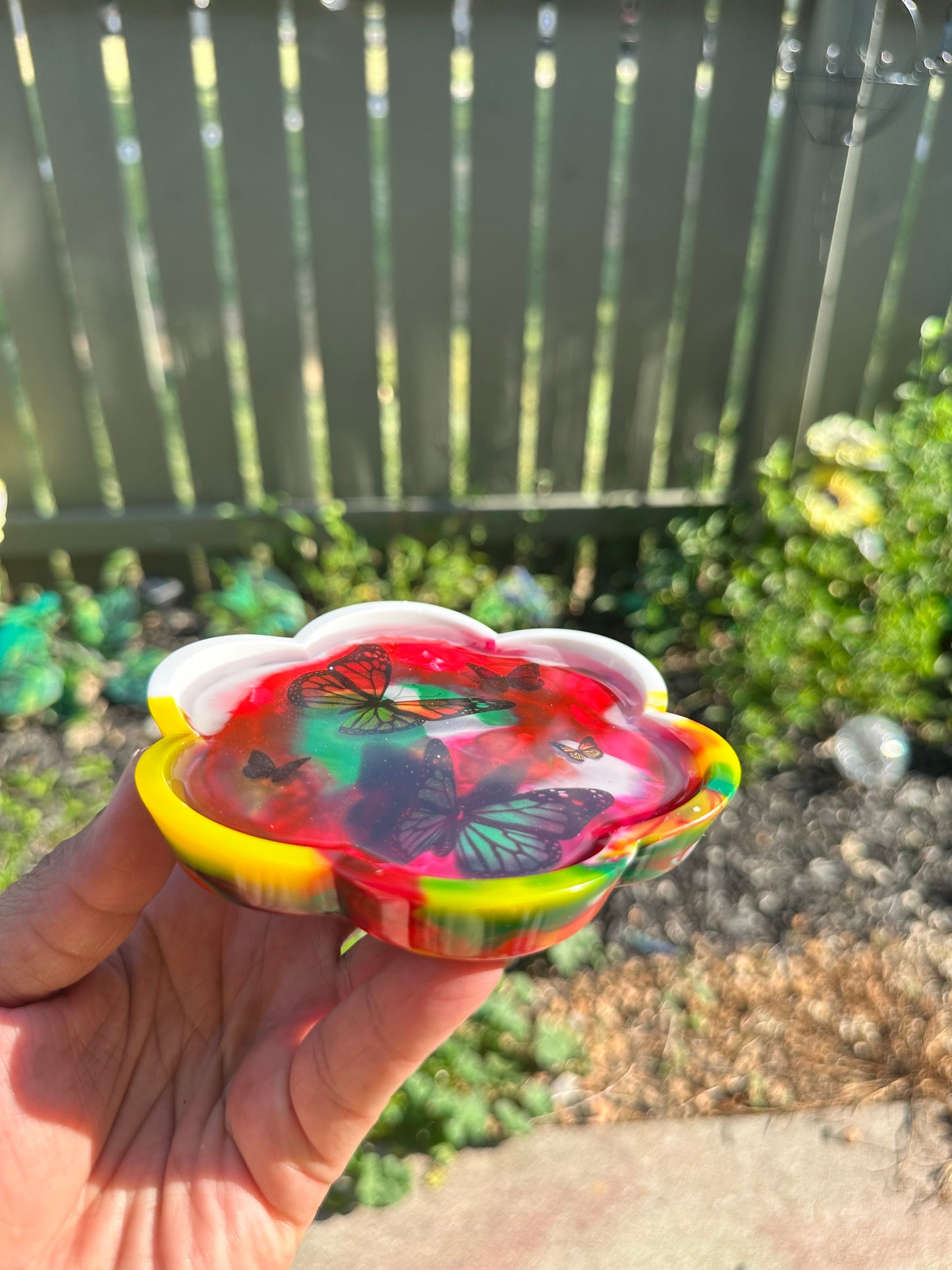 Butterflies of Color Tray