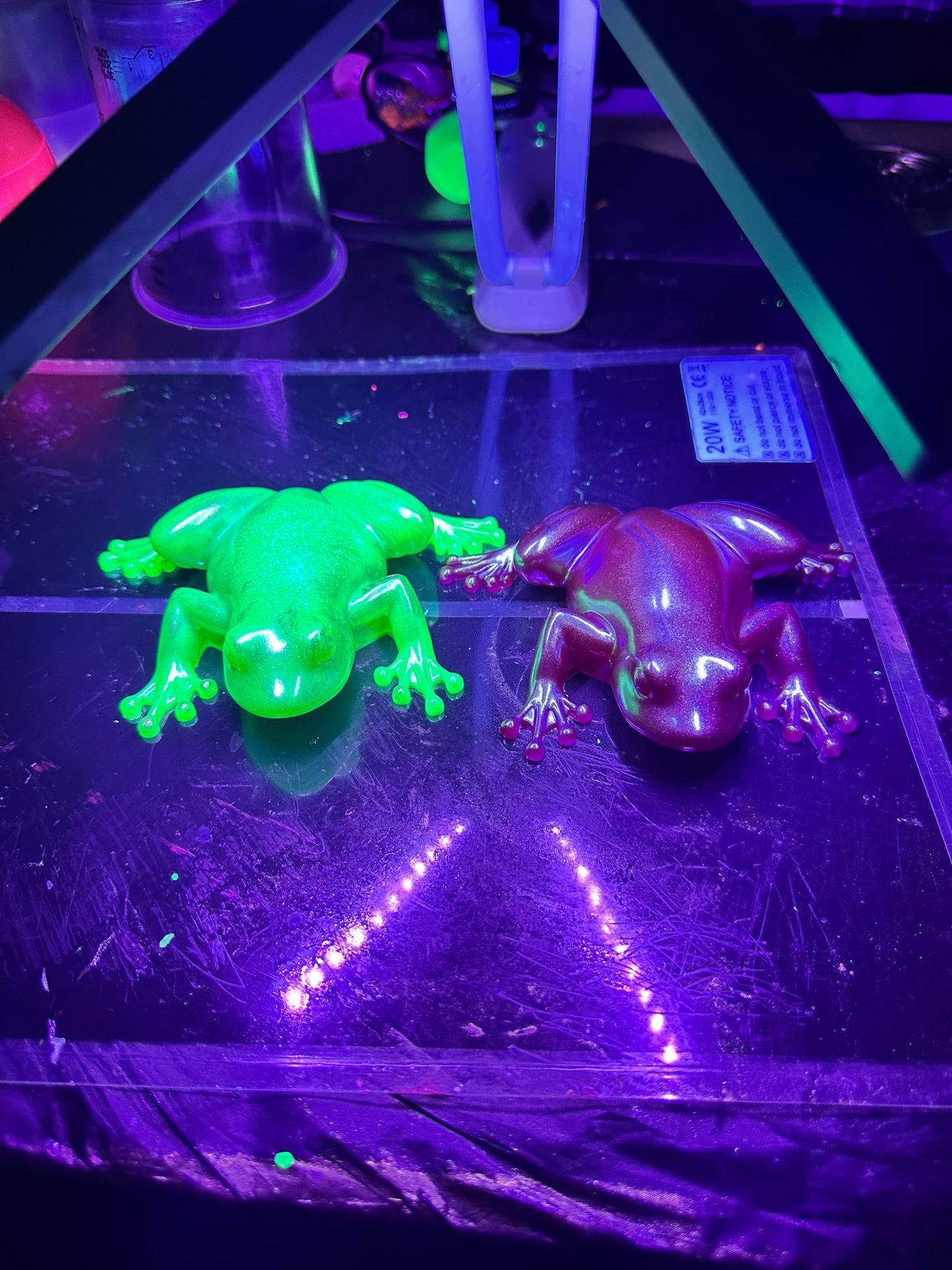 Frog 🐸
