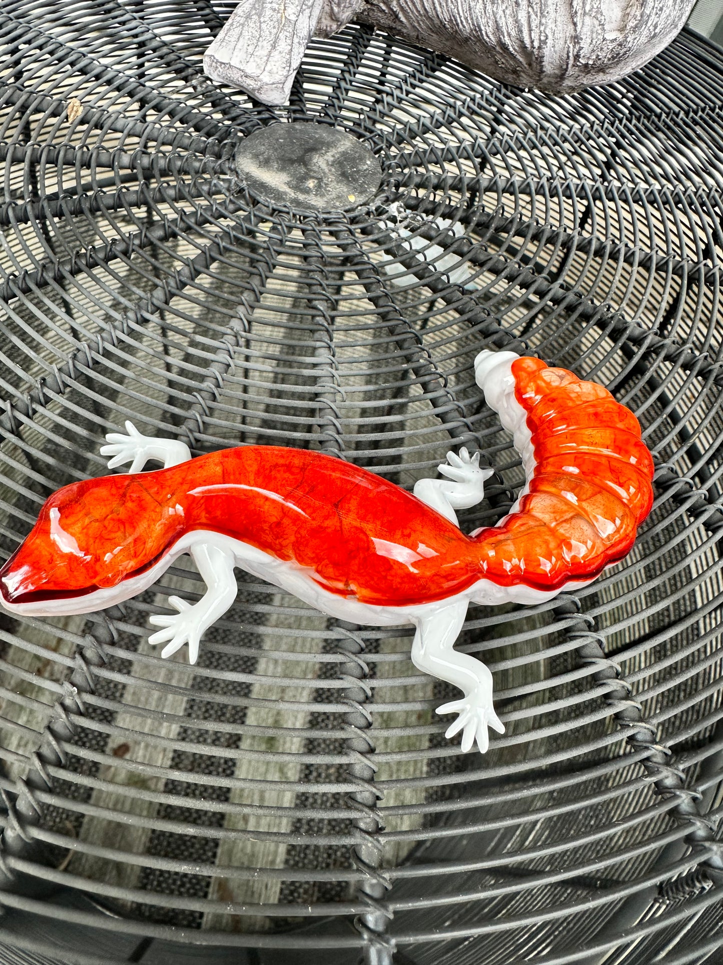 Lizard