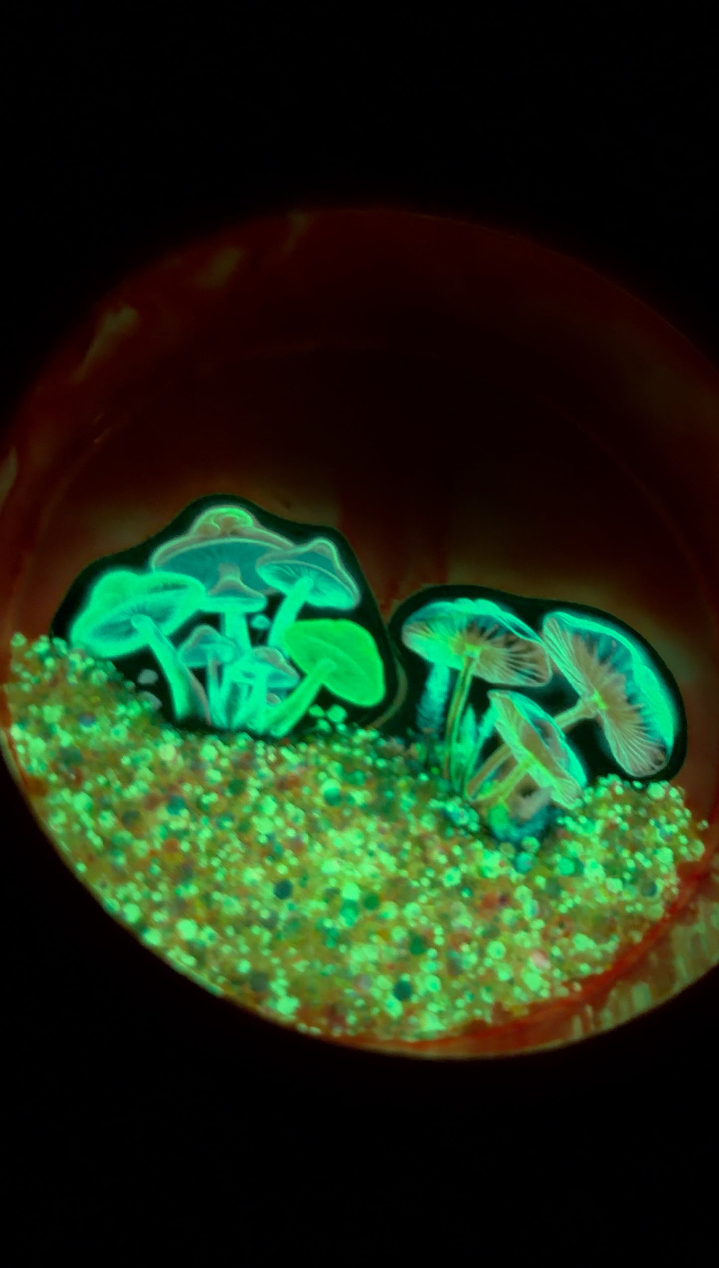 Trippy Mushroom Bowl