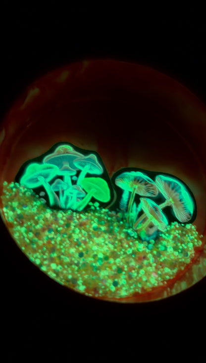 Trippy Mushroom Bowl