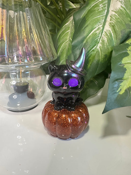 Cat N Pumpkin 🎃