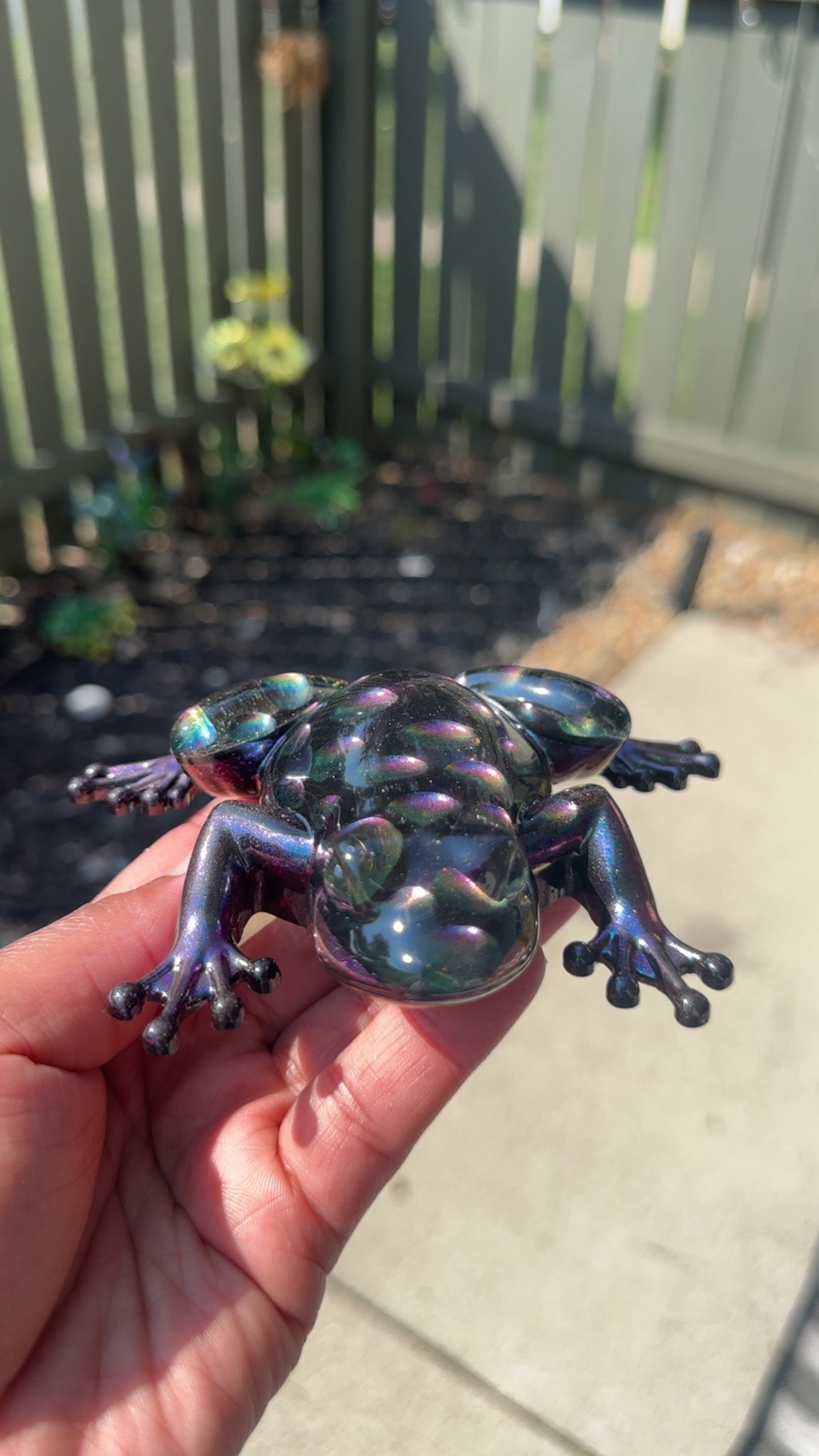 Trippy Frog🐸