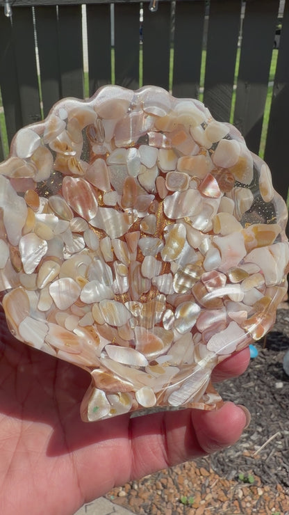 Shell Tray