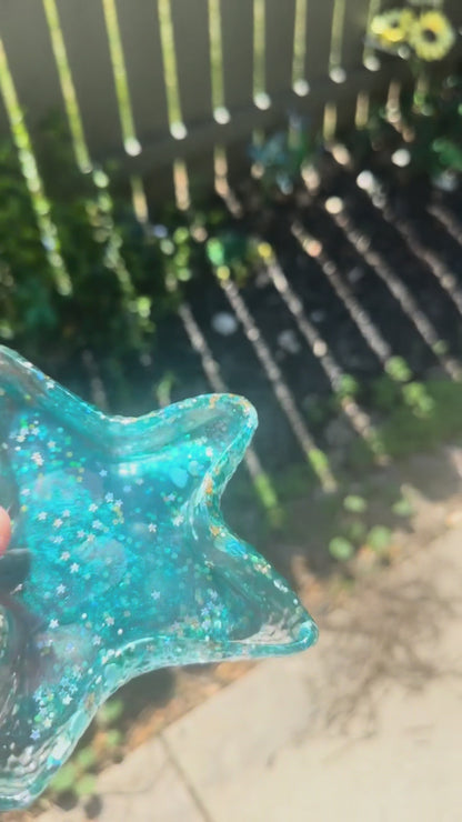 Starfish dish