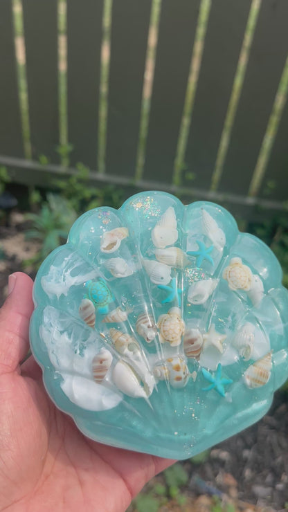 Ocean Treasures Shell Case